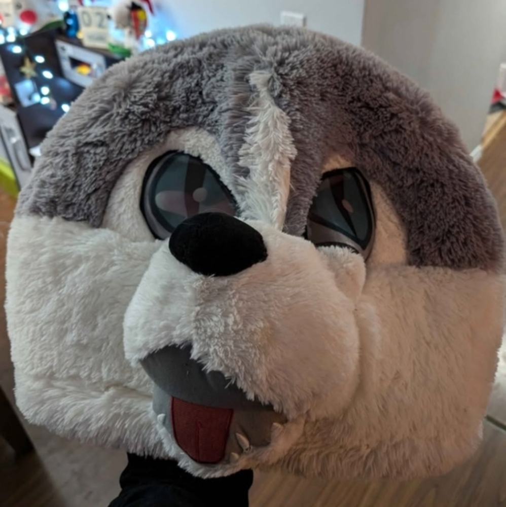 Wolf mask
